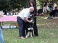 img 054